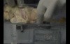 Kidneys Placement In Pulsatile Perfusion - Machine Preparation