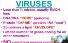 Infectious Diseases - MSP - 8b