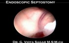 Endoscopic Septostomy