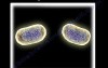 Unbelievable Bacteria - Video Presentation - Part 1