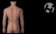Cervical - Spinal Cord Stimulator Placement