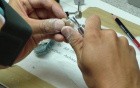 Temporary Bridge - Diamond Disks And Interproximal Areas