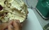 Dr. Insai.Ni - Greater Palatine Anatomy Part 1