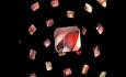 Gastrointestinal endoscopies