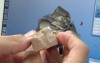 CEREC AC-Comparing Bulked/Normal Crown Margins
