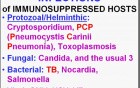 Infectious Diseases - MSP - 8i