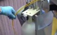 Endoscope Sheath