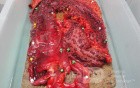 Multiple Rectal Ulcers (97 of 110)