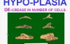 Cellular Adaptations, Cell Injury and Cell Death - MSP - 1b