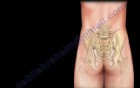 Sacroiliac Joint - Low Back Pain Cause - Video Lecture