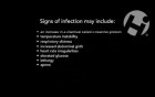 Antibiotics and How They Treat Infection
