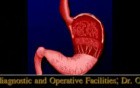 Videogastroscopy - Presentation Of A Health Centre Providing I.A. Endoscopy Of GI System