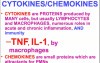 Diseases of Immunity - MSP - 6c