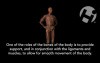 Role of Bone