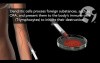 Quantum Immunologies