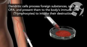Quantum Immunologies
