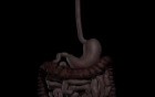 Laparoscopic bariatric procedures
