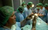Rhinoplasty course 