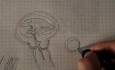 Brain ventricles - Neuroanatomy Lectures - 20