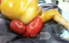 Rectal Prolapse In A Small Child