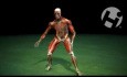 Anatomical Muscle Test