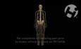 Cervical Radiculopathy