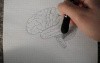 Brain - Neuroanatomy Lectures - 9
