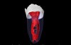 Mandibular Second Molar - 04 C-Shaped