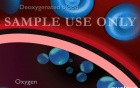 Lung Oxygenation