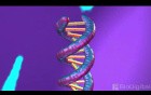 How is Cancer Treated?