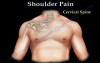 Shoulder Pain - Anatomy and Examination