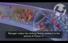 Role of Estrogen