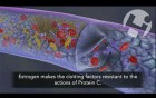 Role of Estrogen