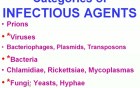 Infectious Diseases - MSP - 8a