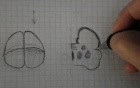 Homunculus - Neuroanatomy Lectures - 16