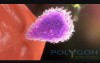 Introduction to Multiple Sclerosis