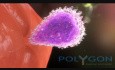 Introduction to Multiple Sclerosis