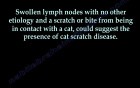 Cat Scratch Disease - Video Lecture