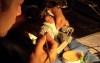 Diagnostic Waxup Part 10