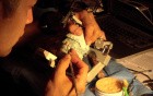 Diagnostic Waxup Part 10