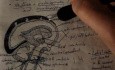 Cranial Venous Sinuses - Neuroanatomy Lectures - 21
