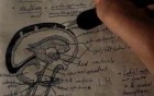 Cranial Venous Sinuses - Neuroanatomy Lectures - 21