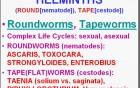 Infectious Diseases - MSP - 8f