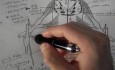 Spinal Cord - Neuroanatomy Lectures - 4