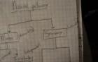 General Neural Pathways - Neuroanatomy Lectures - 33