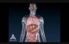 Asthma Animation - 3D Medical Animation