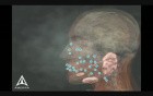 Sialorrhea Injection Site Identification - 3D Medical Animation