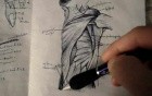 Thoracoabdominal Wall - Video Lecture - Part 2