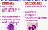 Inflammation - MSP - 2d