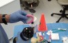 Dentures - Occlusal Rims - How To Make Them Taller